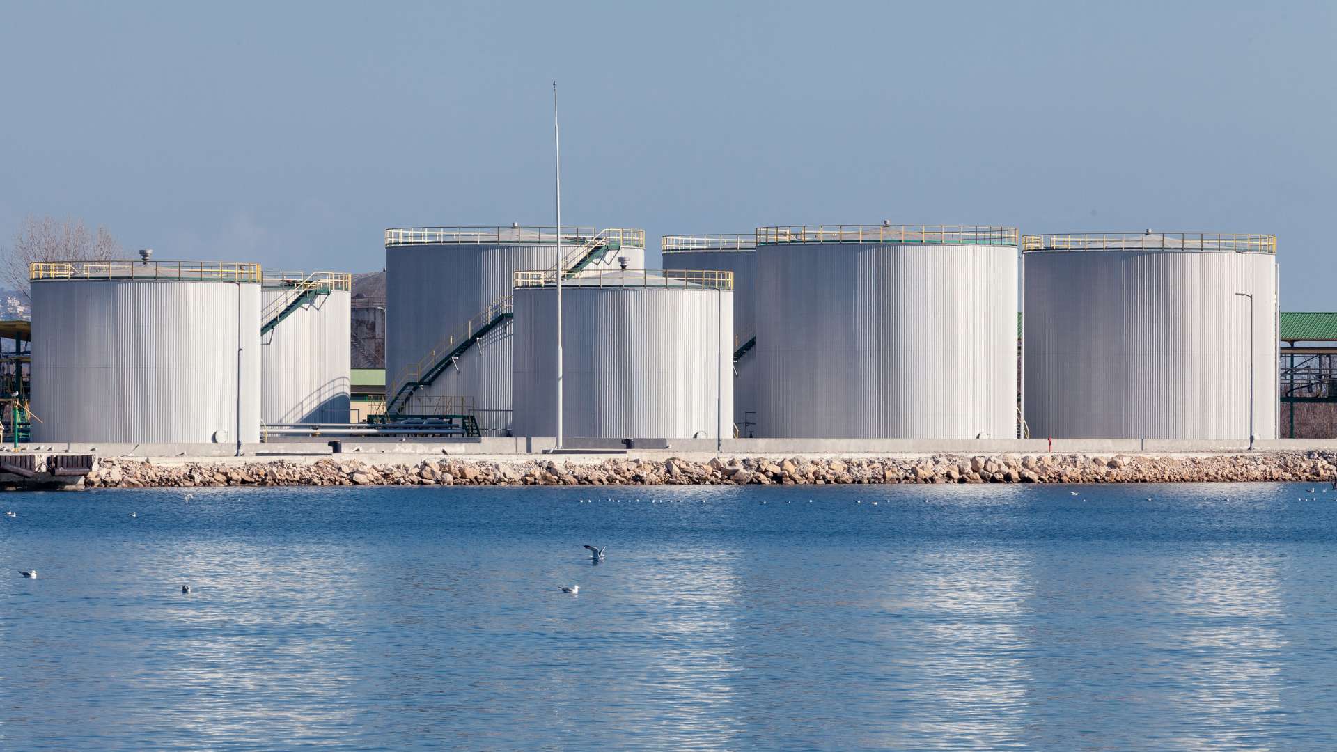 Several large, cylindrical storage tanks stand in a row by a body of water under a clear blue sky. The tanks, having passed rigorous asset inspection, are metallic and industrial in appearance. A few seagulls are visible flying above the water in the foreground.